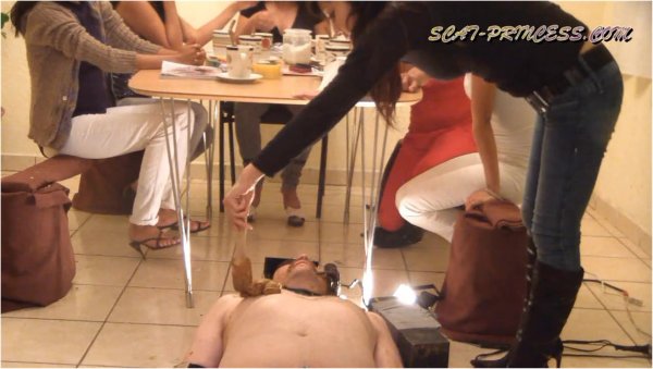 Scat Princess - Jessy - Toilet Slave rolling under the Table Part 3